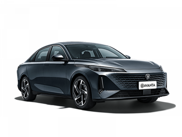 Changan Lamore Серый