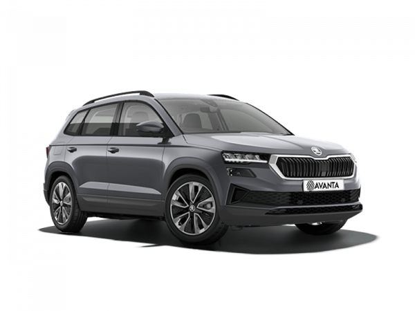 Skoda Karoq NEW Серый