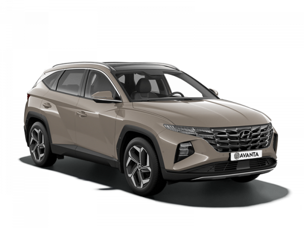 Hyundai Tucson Family + Advanced 2.0 AT